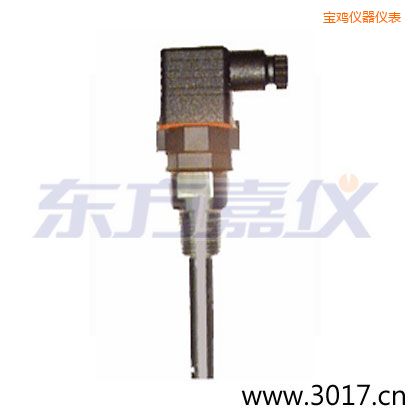 寶雞含有溫度的兩線電導(dǎo)率電極