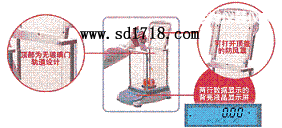 �}�����M(j��n)����ƽ,3100g,0.01g